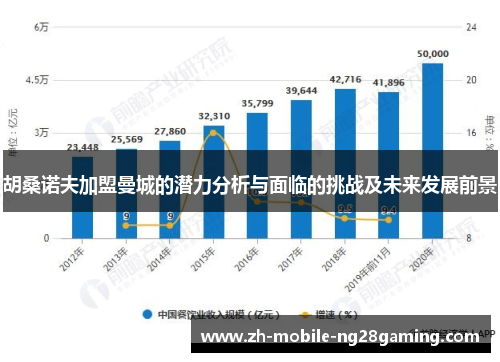 胡桑诺夫加盟曼城的潜力分析与面临的挑战及未来发展前景