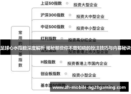 足球心水指数深度解析 揭秘那些你不曾知晓的投注技巧与内幕秘诀