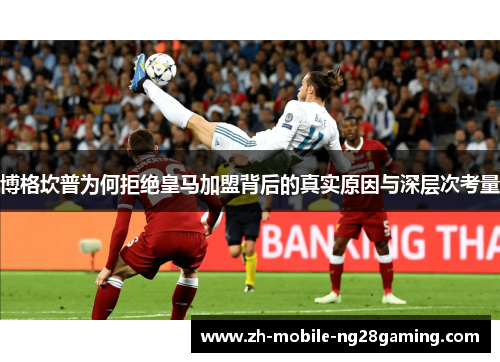 博格坎普为何拒绝皇马加盟背后的真实原因与深层次考量 博格坎普为何拒绝皇马加盟背后的真实原因与深层次考量