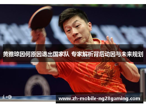 黄雅琼因何原因退出国家队 专家解析背后动因与未来规划