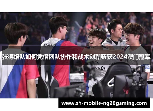 张德培队如何凭借团队协作和战术创新斩获2024澳门冠军