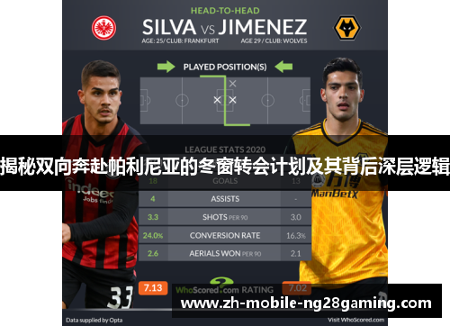 揭秘双向奔赴帕利尼亚的冬窗转会计划及其背后深层逻辑