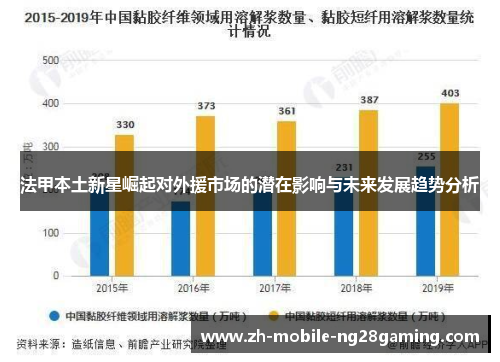 法甲本土新星崛起对外援市场的潜在影响与未来发展趋势分析