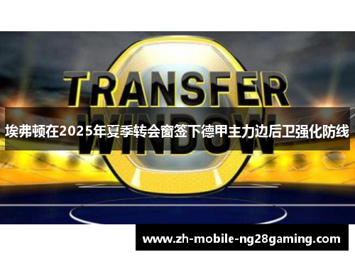 埃弗顿在2025年夏季转会窗签下德甲主力边后卫强化防线