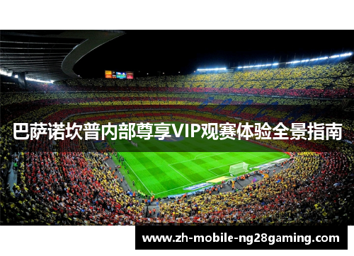 巴萨诺坎普内部尊享VIP观赛体验全景指南 巴萨诺坎普内部尊享VIP观赛体验全景指南